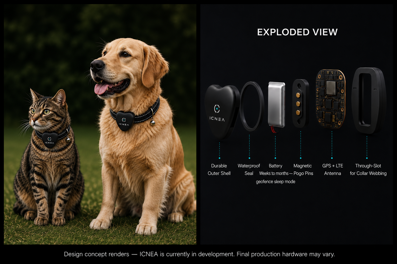 ICNEA tracker on cat and dog collars